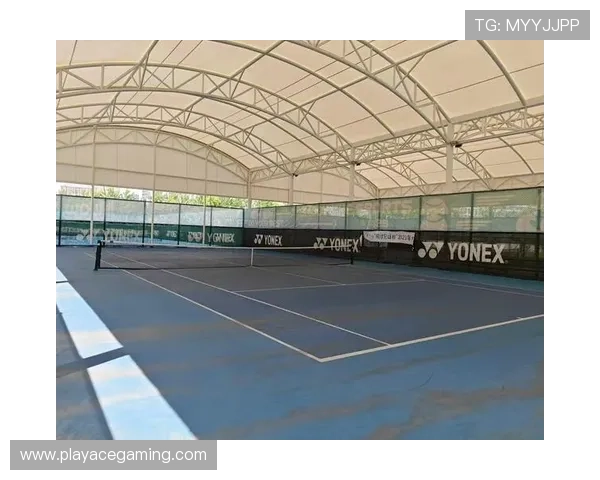 乐竞体育：助力全民健身新风潮，打造体育产业新生态