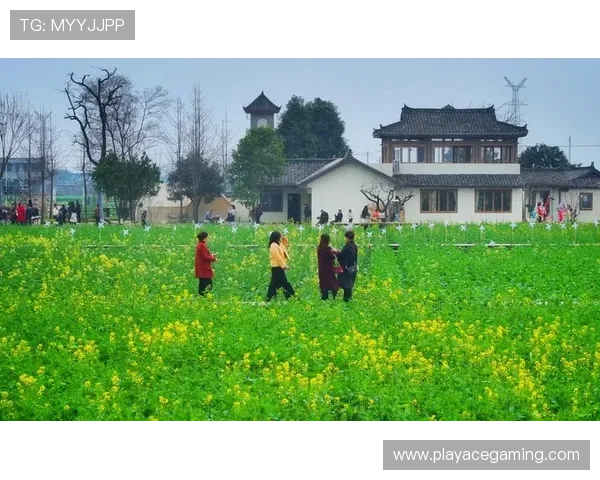 U体育引领全民运动新时代打造健康生活方式全景方案